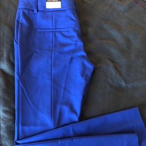 Express Columnist Ankle Low Rise pant